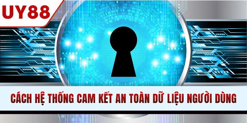 Chính Sách Bảo Mật - Bảo Vệ Dữ Liệu Hội Viên An Toàn Tối Đa - winzen69.lol