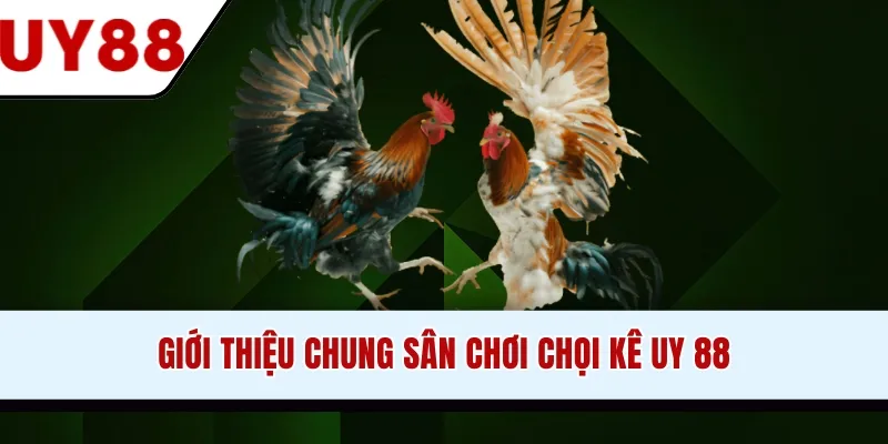 Đá Gà UY88 - Tận Hưởng Trận Chiến Kịch Tính, Gay Cấn - winzen69.lol