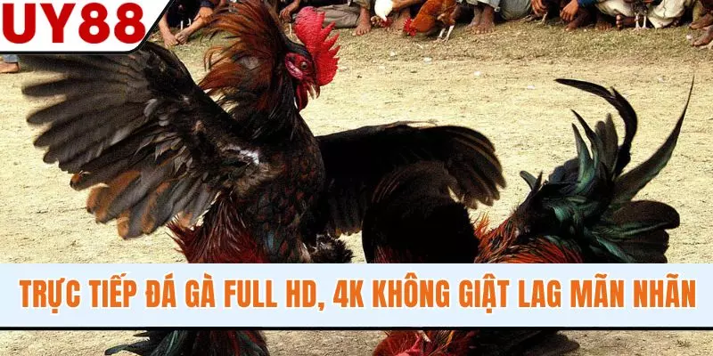 Blog Cá Cược - Kho Tàng Thông Tin Hữu Ích Cho Hội Viên - winzen69.lol